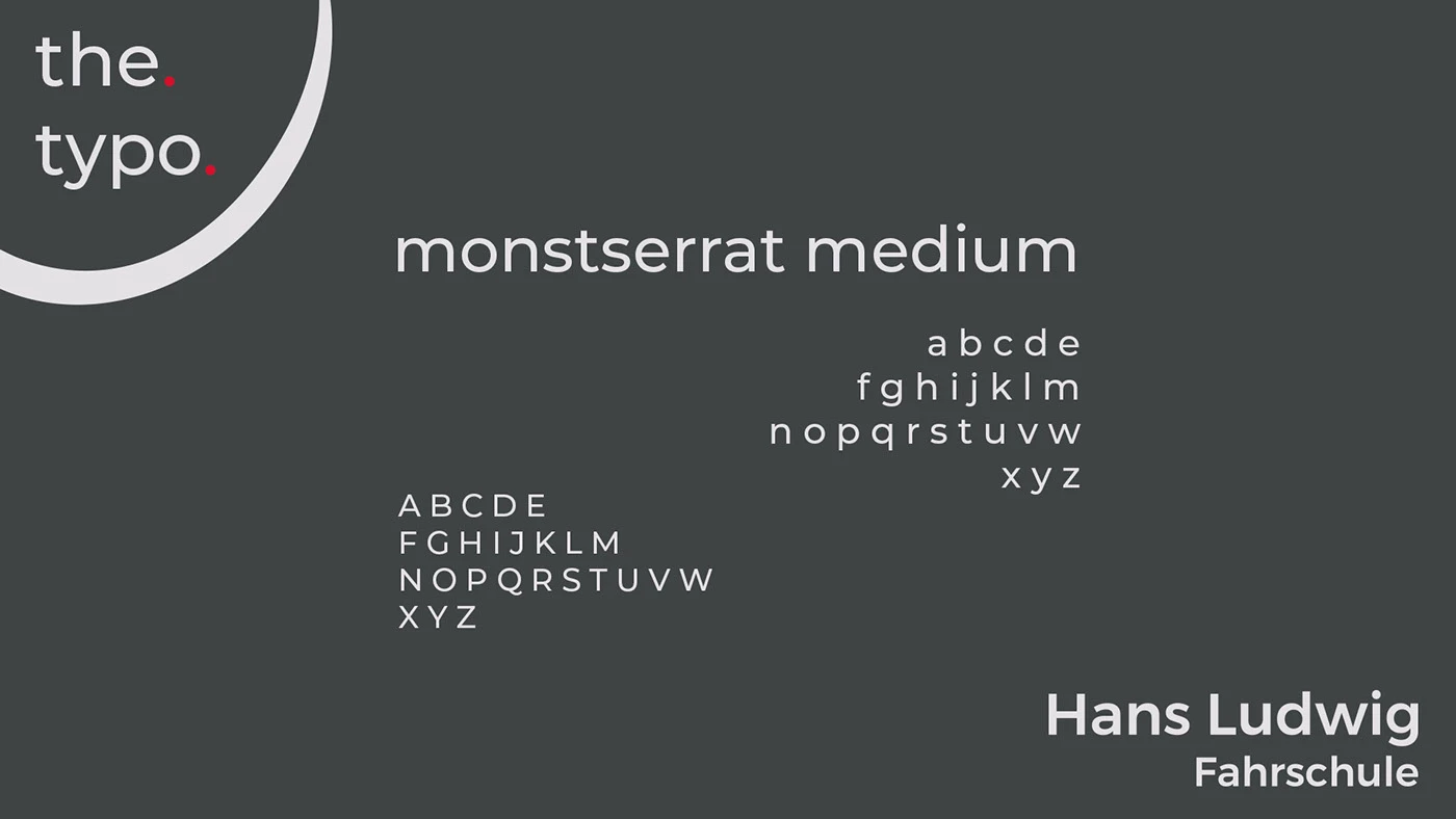 Hans Ludwig Project Image