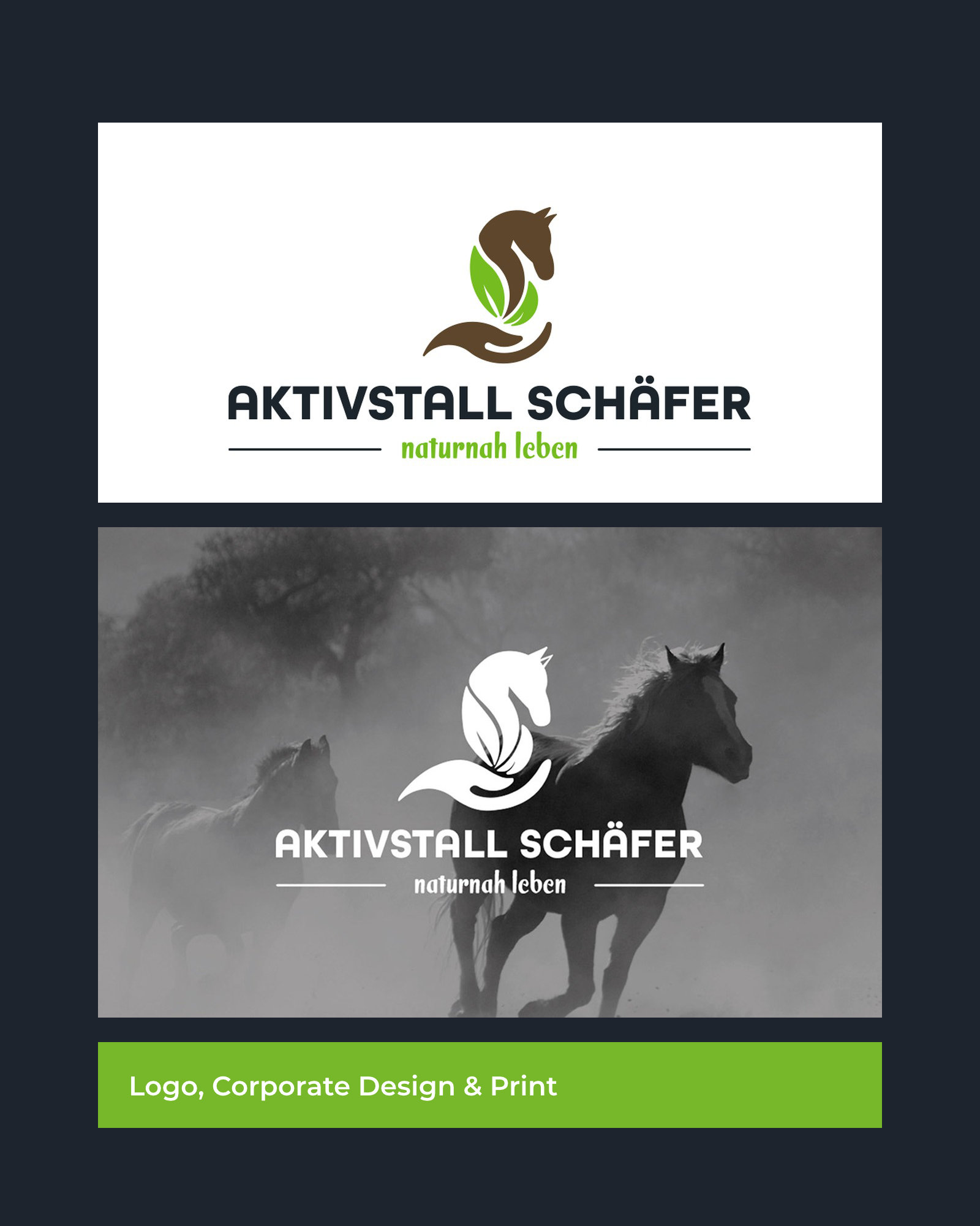 Aktivstall Schäfer